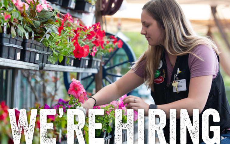 WE'RE HIRING